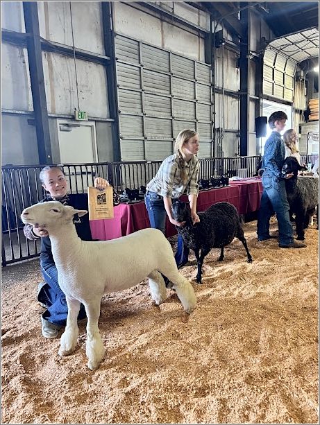 Lexy Lettenmaier won the Steve Mendenhall Award for being the Overall Showman Champion. Photo: Denali Bosco.
